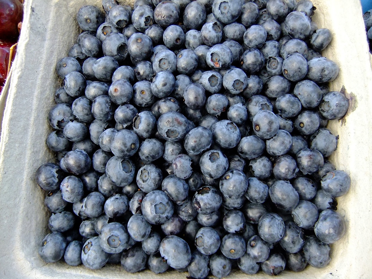 The Science of Antioxidants - Protecting Your Health